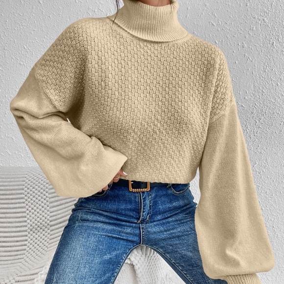 Cozy Turtleneck Reversible Balloon Sleeve Sweater - Picture 4 of 7